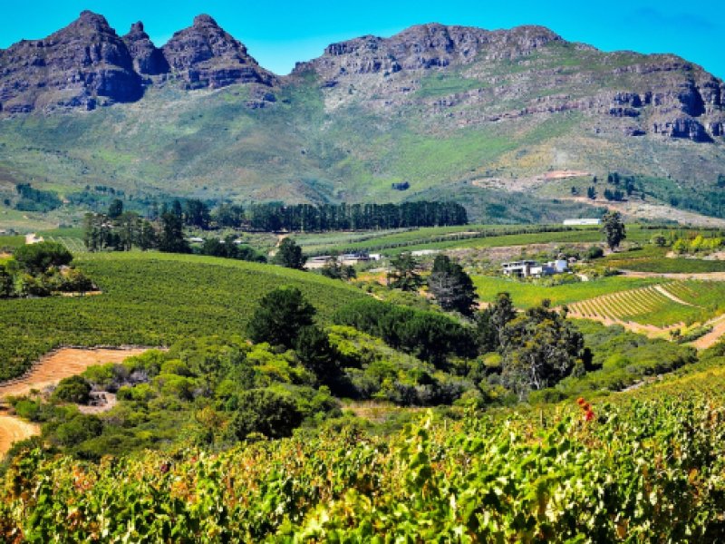 route des vignobles
